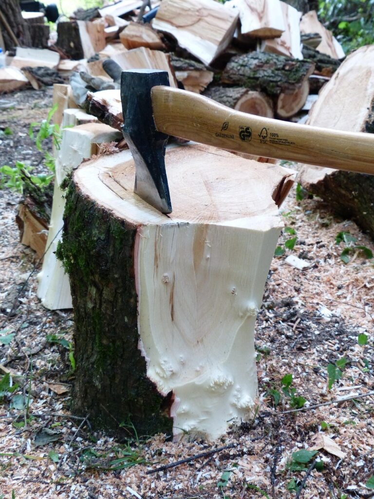 tree felling cape town
