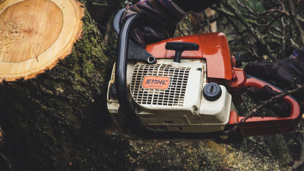 tree felling and stump removal cape town